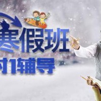 煙臺(tái)新航道托福寒假班