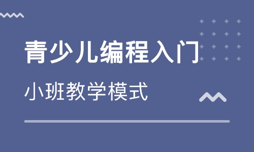 杭州余杭區(qū)少兒編程培訓(xùn)班