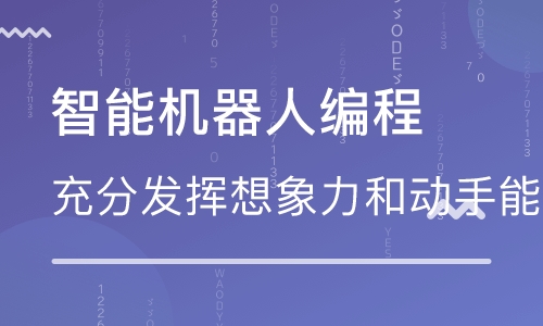合肥包河區(qū)少兒編程