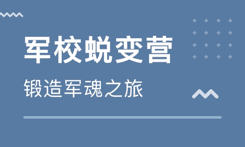深圳光明區(qū)少兒編程